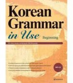Könyv KOREAN GRAMMAR IN USE : BEGINNING AHN