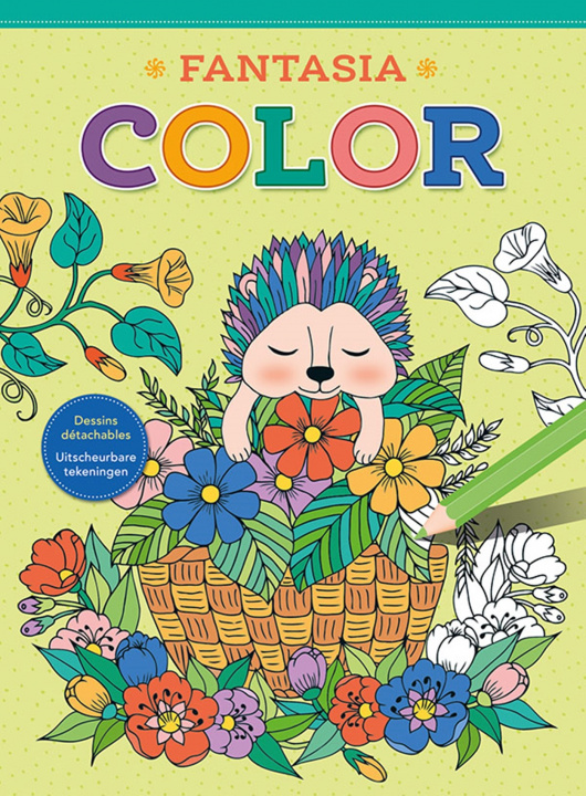 Buch Fantasia Color collegium