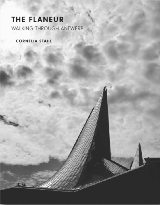 Book THE FLANEUR CORNELIA STAHL