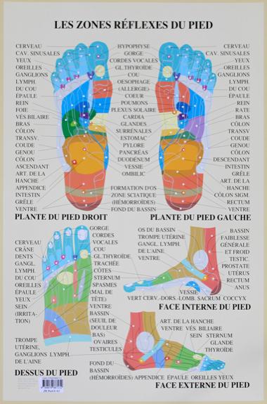 Drucksachen Zones réflexes des pieds 