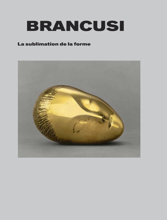 Kniha Brancusi. La sublimation de la forme. Lemny
