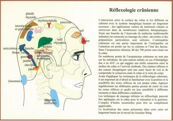 Buch Planche Réflexologie crânienne - A4 