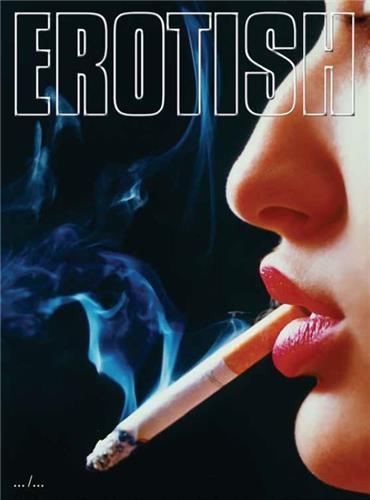 Buch Julia & Vincent Erotish /anglais JULIA & VINCENT