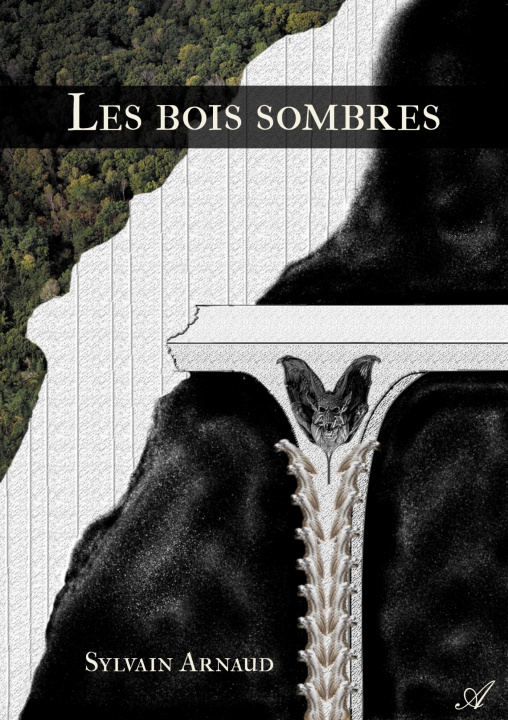 Knjiga Les bois sombres Sylvain Arnaud