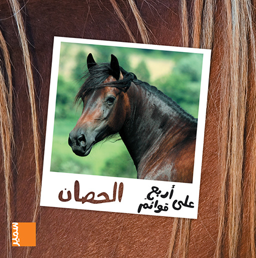 Carte Le cheval (arabe) Aubron