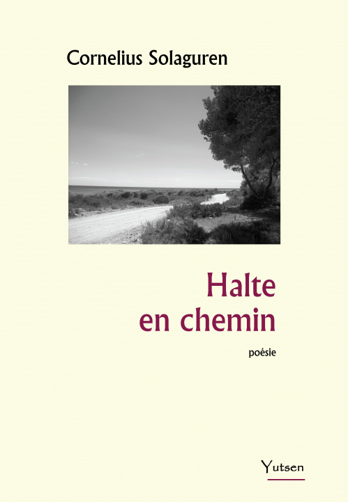 Boek Halte en chemin Solaguren