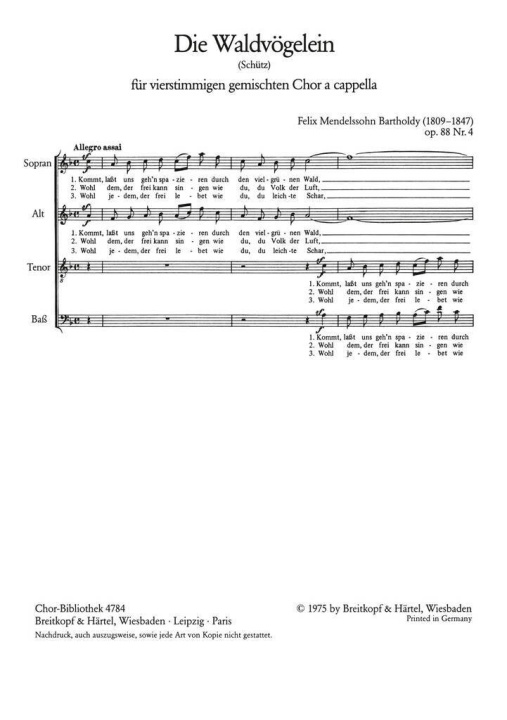 Knjiga DIE WALDVOGLEIN FELIX MENDELSSOHN BA