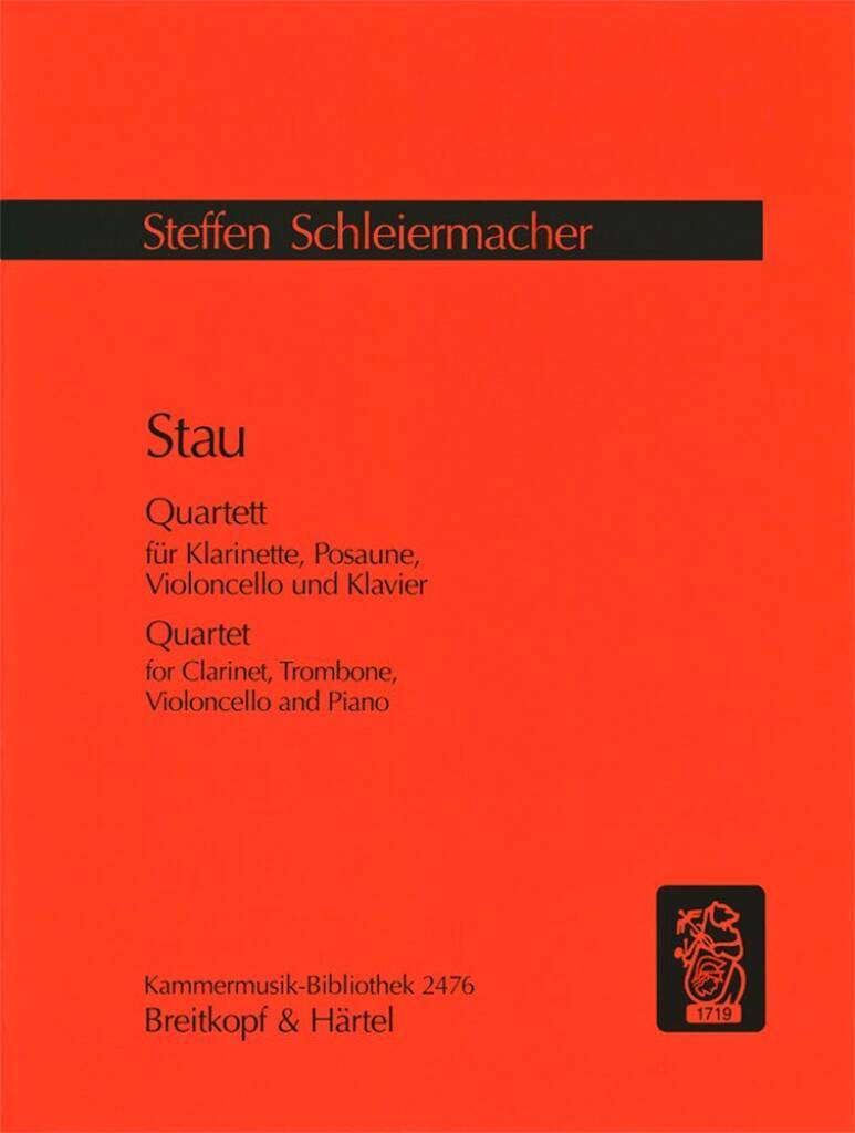Buch STAU STEFFEN SCHLEIERMACH