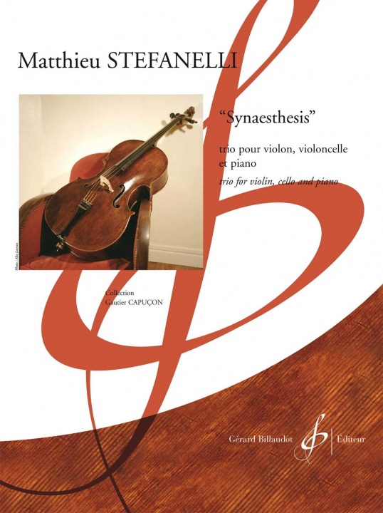 Libro SYNAESTHESIS STEFANELLI MATTHIEU