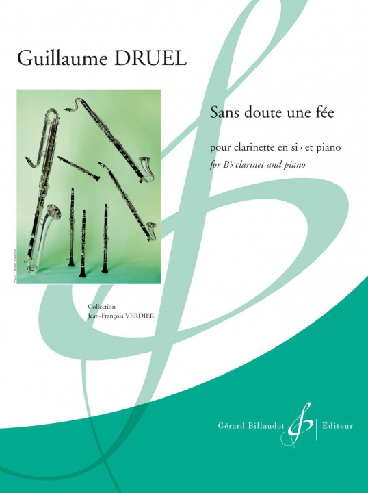 Knjiga SANS DOUTE UNE FEE DRUEL GUILLAUME