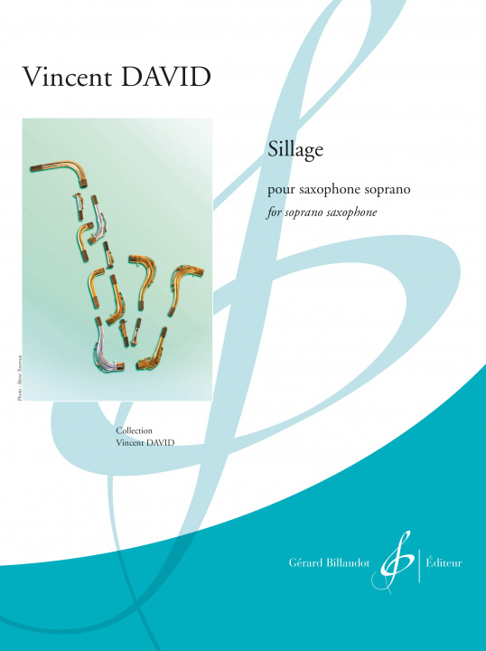 Buch SILLAGE DAVID VINCENT