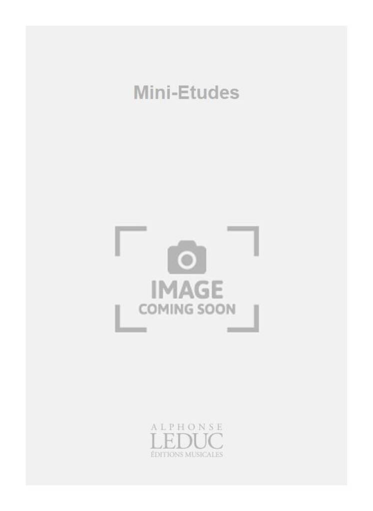 Kniha SCHMIDT WUNSTORF MINI ETUDES RECORDER BOOK SCHMIDT-WUNSTORF