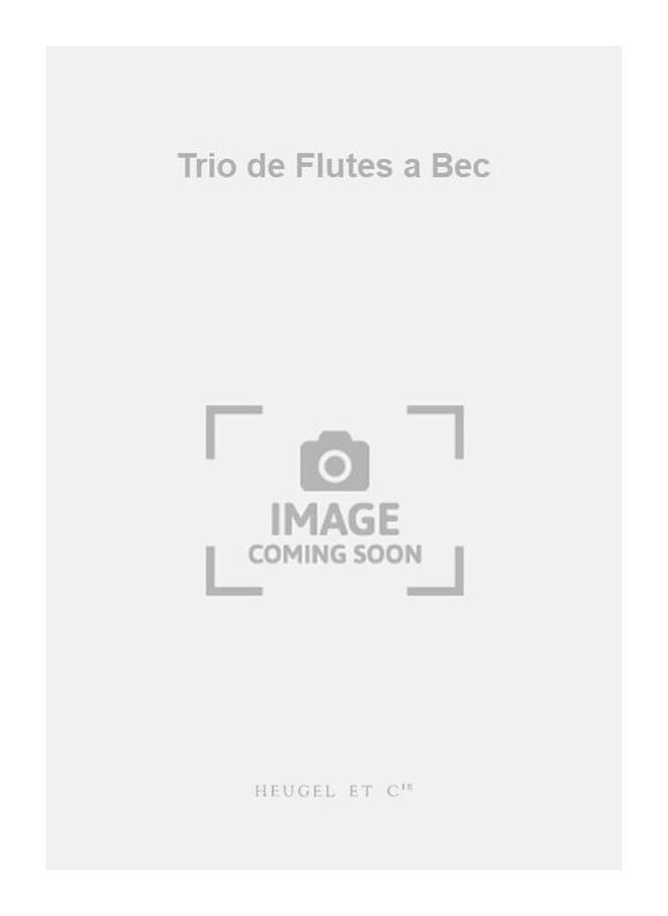 Boek DIVERS SANVOISIN TRIO DE FLUTES A BEC CPJ27 RECORDER BOOK TELEMANN