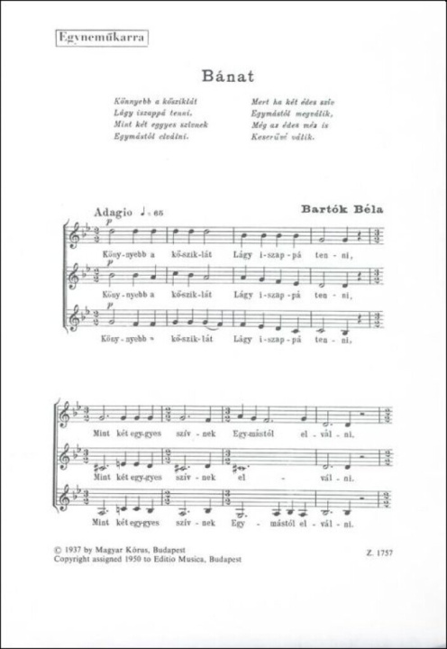 Knjiga BANAT CHANT 