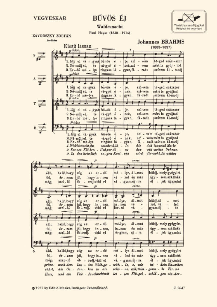 Knjiga WALDESNACHT CHANT 