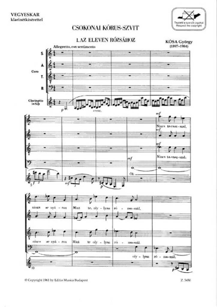 Buch CSOKONAI KORUS-SZVIT 