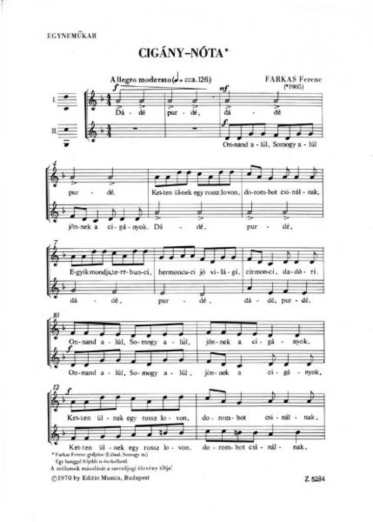 Knjiga CIGANY-NOTA CHANT 