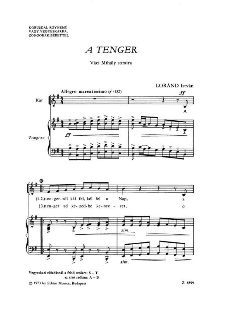 Knjiga A TENGER 