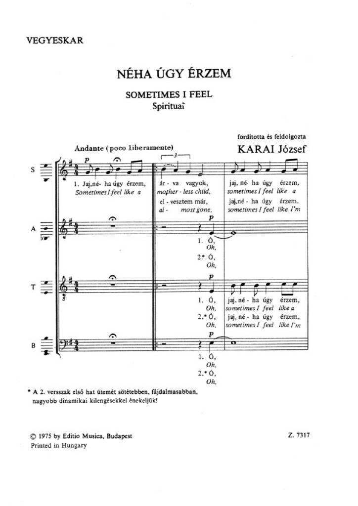 Knjiga SOMETIMES I FEEL CHANT 