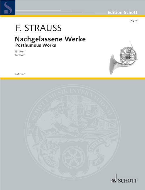 Materiale tipărite NACHGELASSENE WERKE FRANZ STRAU