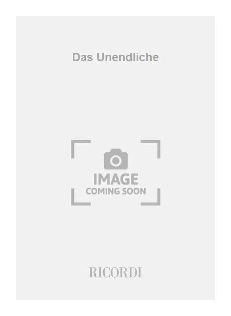 Book DAS UNENDLICHE REINHARD FEBEL