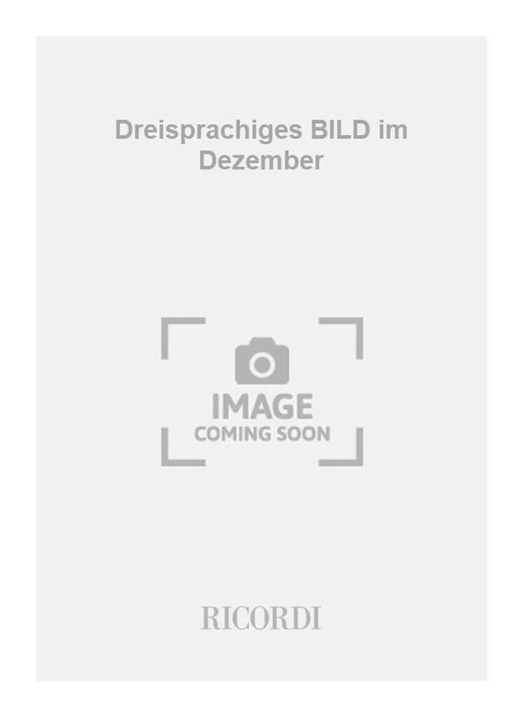 Book DREISPRACHIGES BILD IM DEZEMBER VIOLON CARMEN MARIA CARNECI
