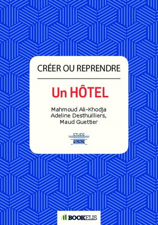 Kniha Créer ou reprendre un hôtel M. Ali-Khodja