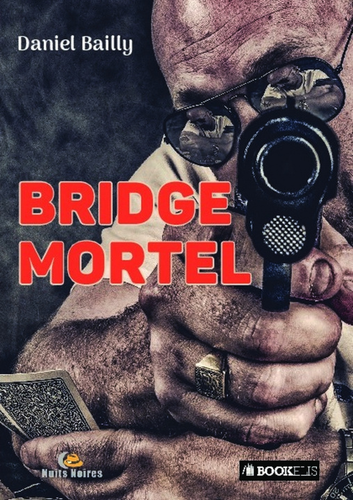 Kniha Bridge mortel Daniel Bailly