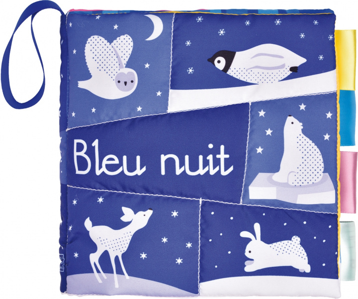 Book Bleu nuit Sue Downing