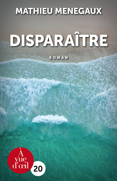 Livro DISPARAITRE Menegaux