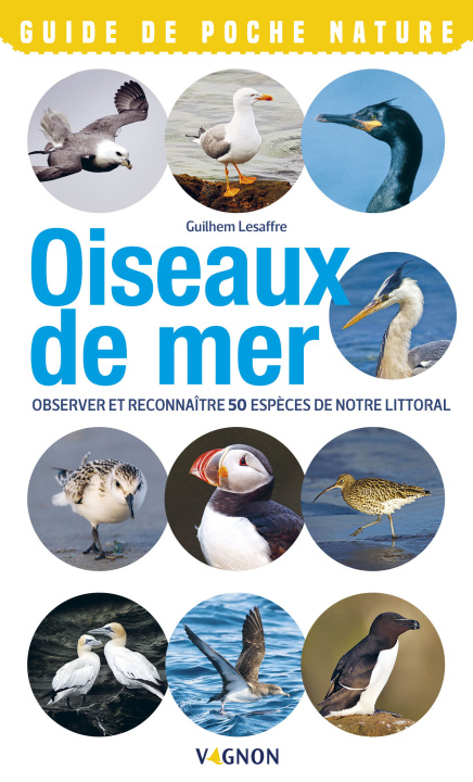 Kniha Oiseaux de mer Guilhem Lesaffre