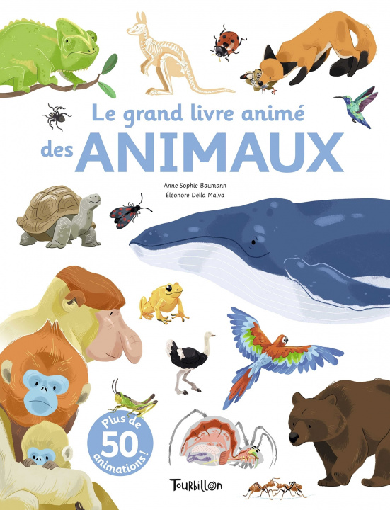 Kniha Le grand livre animé des animaux Anne-Sophie Baumann