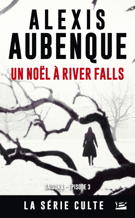 Kniha River Falls - Saison 1, T3 : Un noël à River Falls Alexis Aubenque