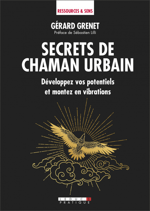 Книга Secrets de chaman urbain GRENET