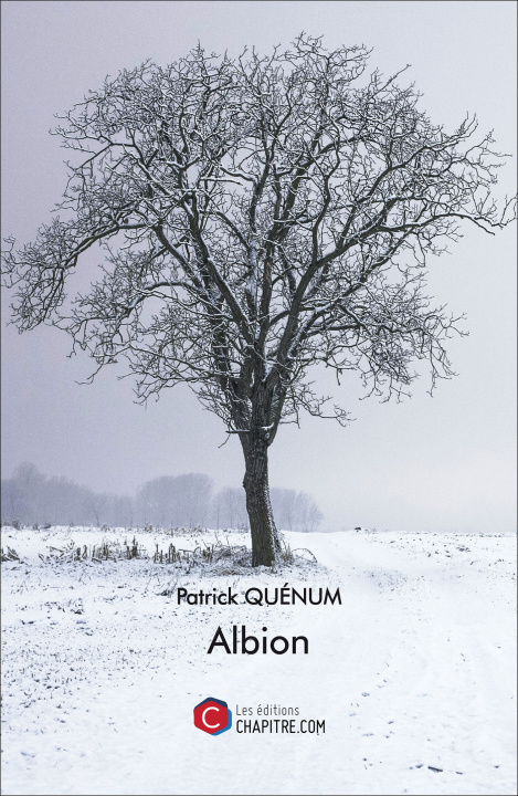 Knjiga Albion Quénum