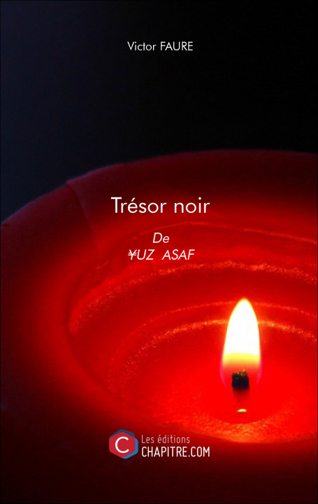 Knjiga Trésor noir Faure