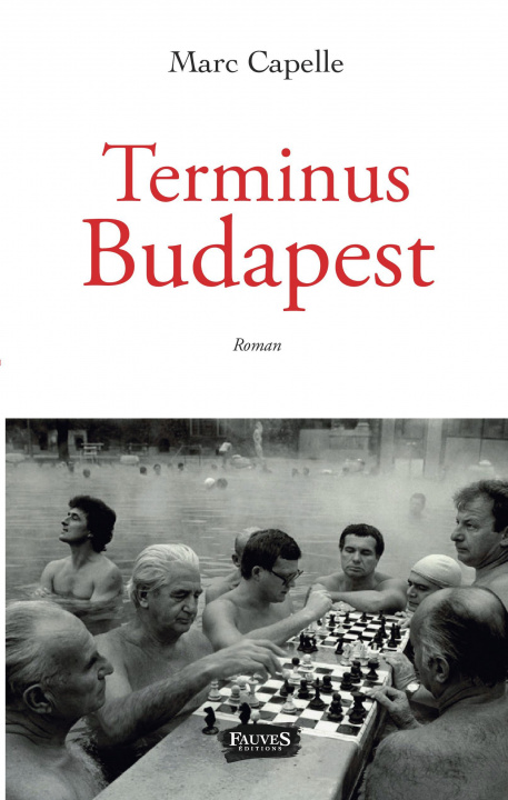 Boek Terminus Budapest Capelle
