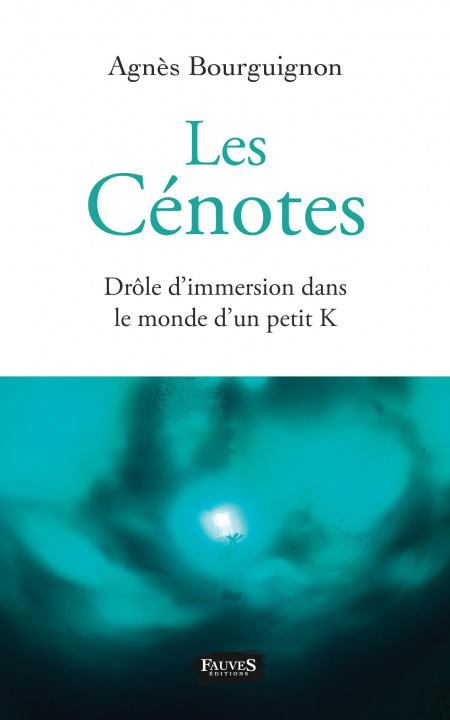 Kniha Les Cénotes Bourguignon