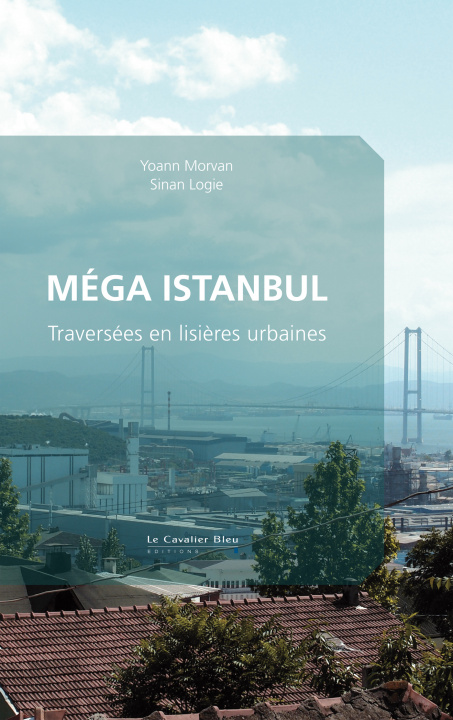 Book Mega istanbul Logie