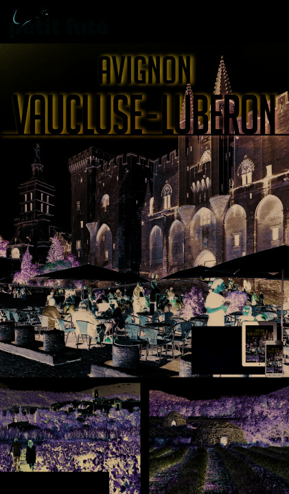 Knjiga avignon - vaucluse 2017-2018 petit fute + offre num Auzias