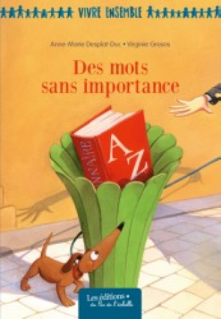 Kniha DES MOTS SANS IMPORTANCE DESPLAT DUC