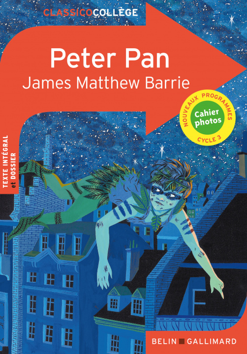 Buch Peter Pan Barrie