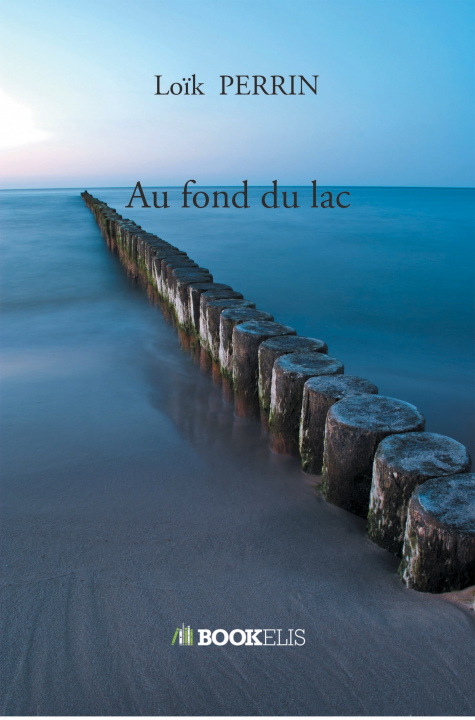 Buch Au fond du lac Loïk Perrin