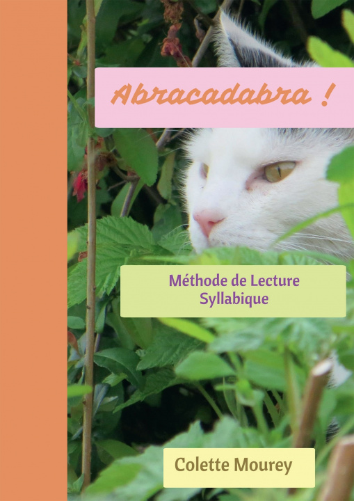 Knjiga Abracadabra Colette Mourey