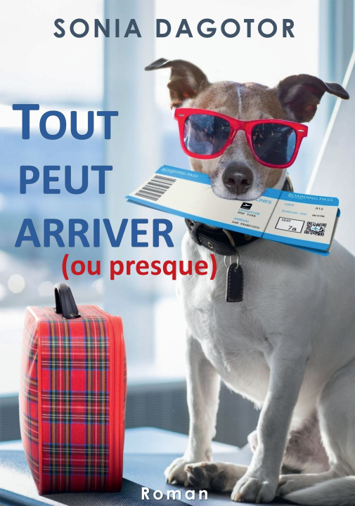 Kniha TOUT PEUT ARRIVER OU PRESQUE Sonia Dagotor