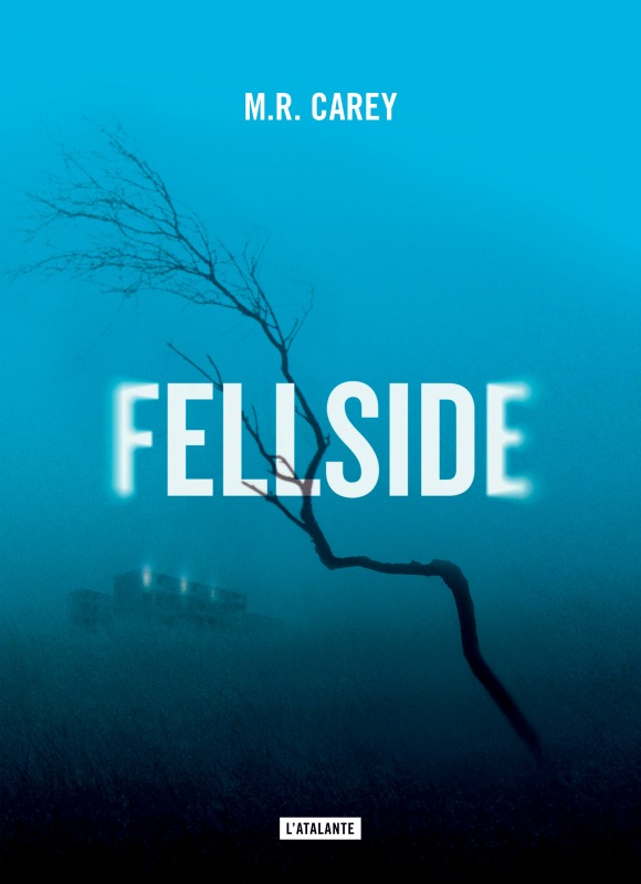 Knjiga Fellside Carey