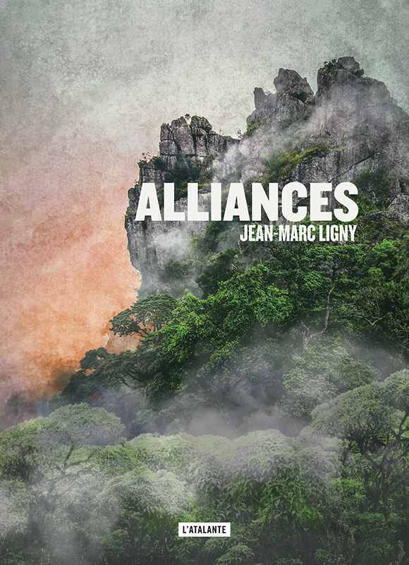 Buch Alliances Ligny