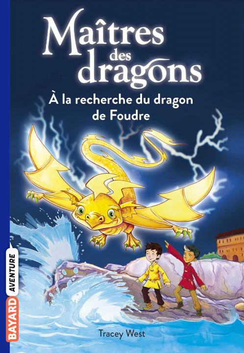 Kniha Maîtres des dragons, Tome 07 TRACY WEST