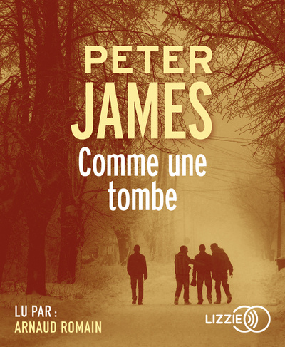 Kniha Comme une tombe Peter James