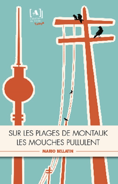 Livre Sur les plages de Montauk les mouches pullulent Bellatin